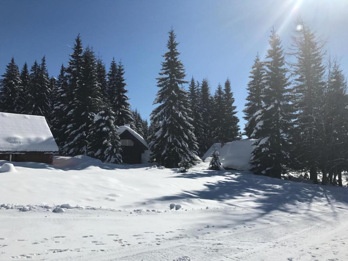 Chalet Stara Jelka Pokljuka Zgornje Gorje Exterior photo