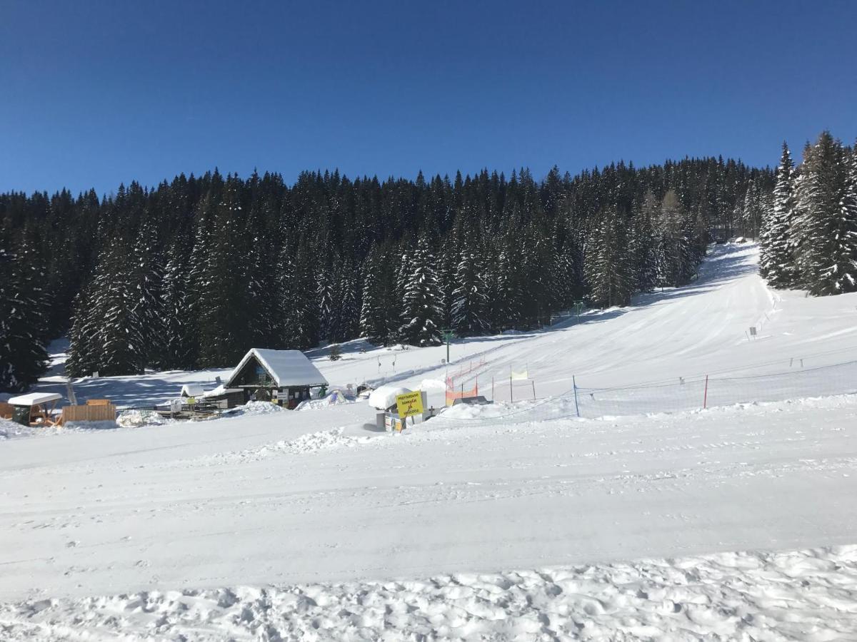 Chalet Stara Jelka Pokljuka Zgornje Gorje Exterior photo