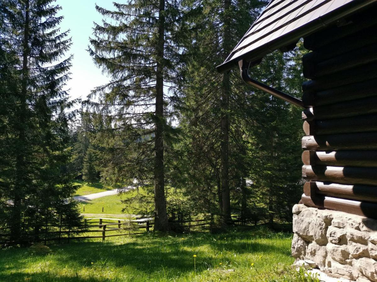 Chalet Stara Jelka Pokljuka Zgornje Gorje Exterior photo