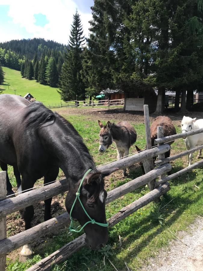 Chalet Stara Jelka Pokljuka Zgornje Gorje Exterior photo