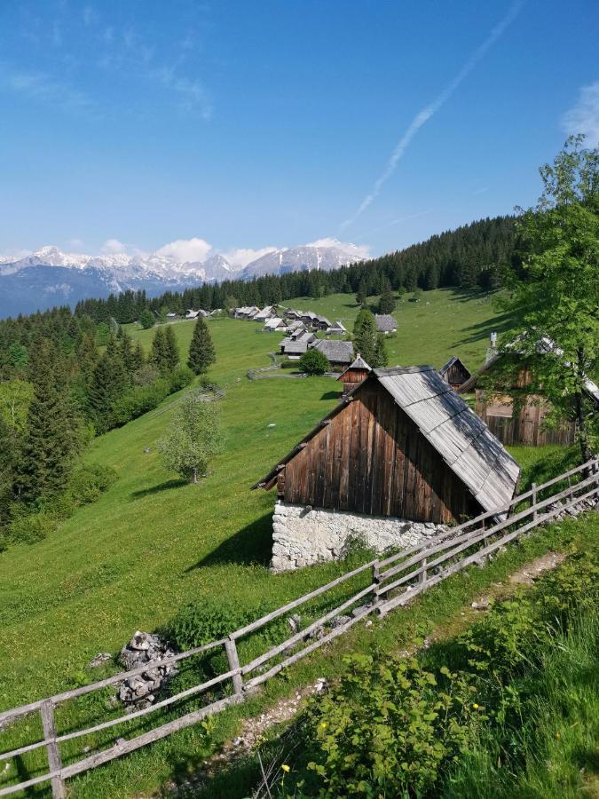 Chalet Stara Jelka Pokljuka Zgornje Gorje Exterior photo