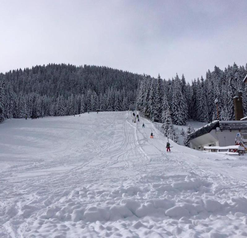 Chalet Stara Jelka Pokljuka Zgornje Gorje Exterior photo