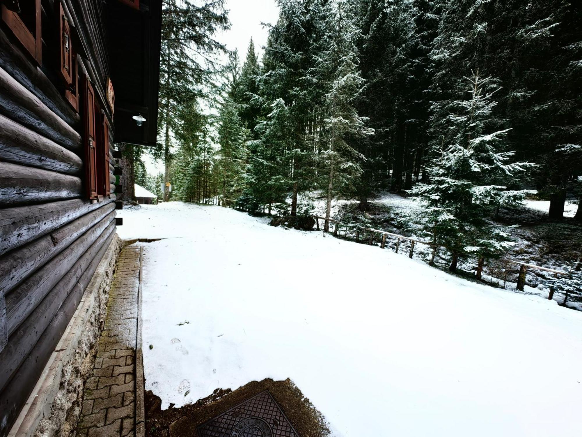 Chalet Stara Jelka Pokljuka Zgornje Gorje Exterior photo