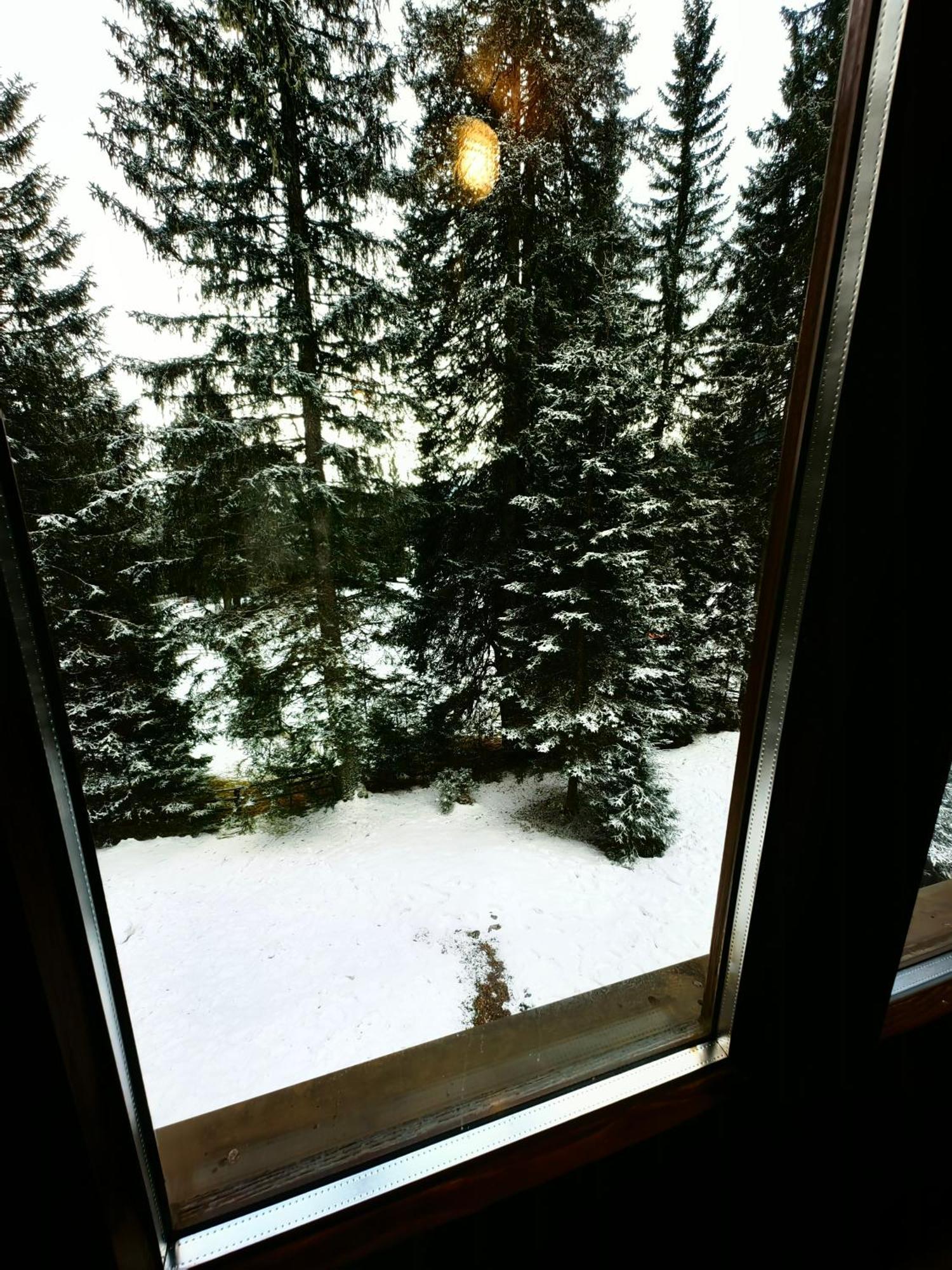 Chalet Stara Jelka Pokljuka Zgornje Gorje Exterior photo